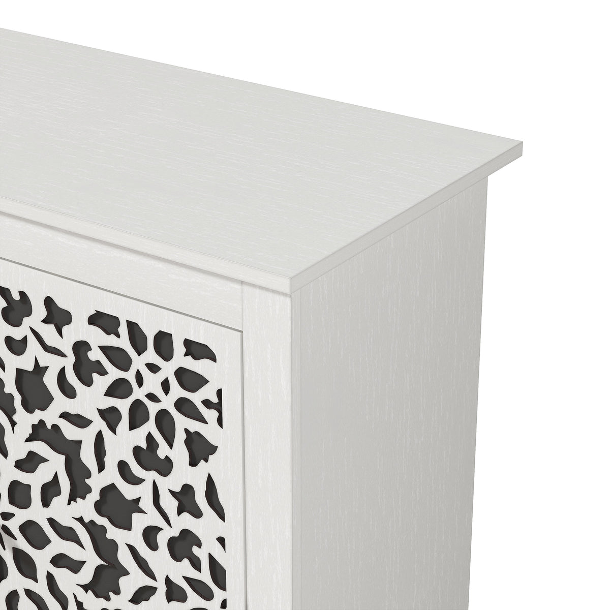 GALANO 2-Door Accent Cabinet with Adjustable Shelves, 1 Cabinet